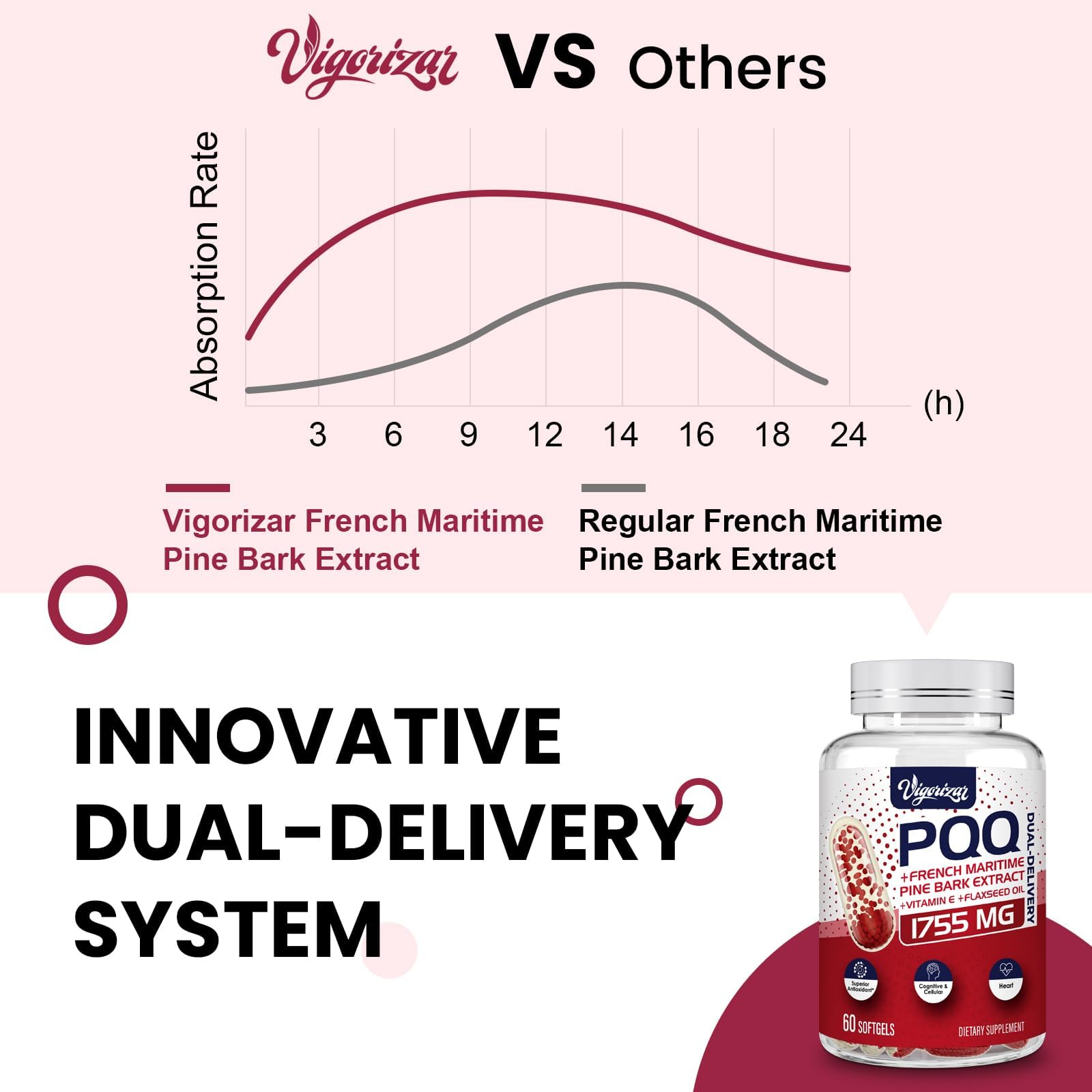 Dual-delivery diagram on Vigorizar Pycnogenol packaging illustrating improved absorption.