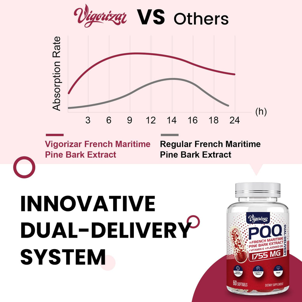 Dual-delivery diagram on Vigorizar Pycnogenol packaging illustrating improved absorption.