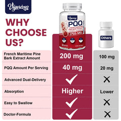 Close-up of Vigorizar Pycnogenol label highlighting gluten-free vegan formula.