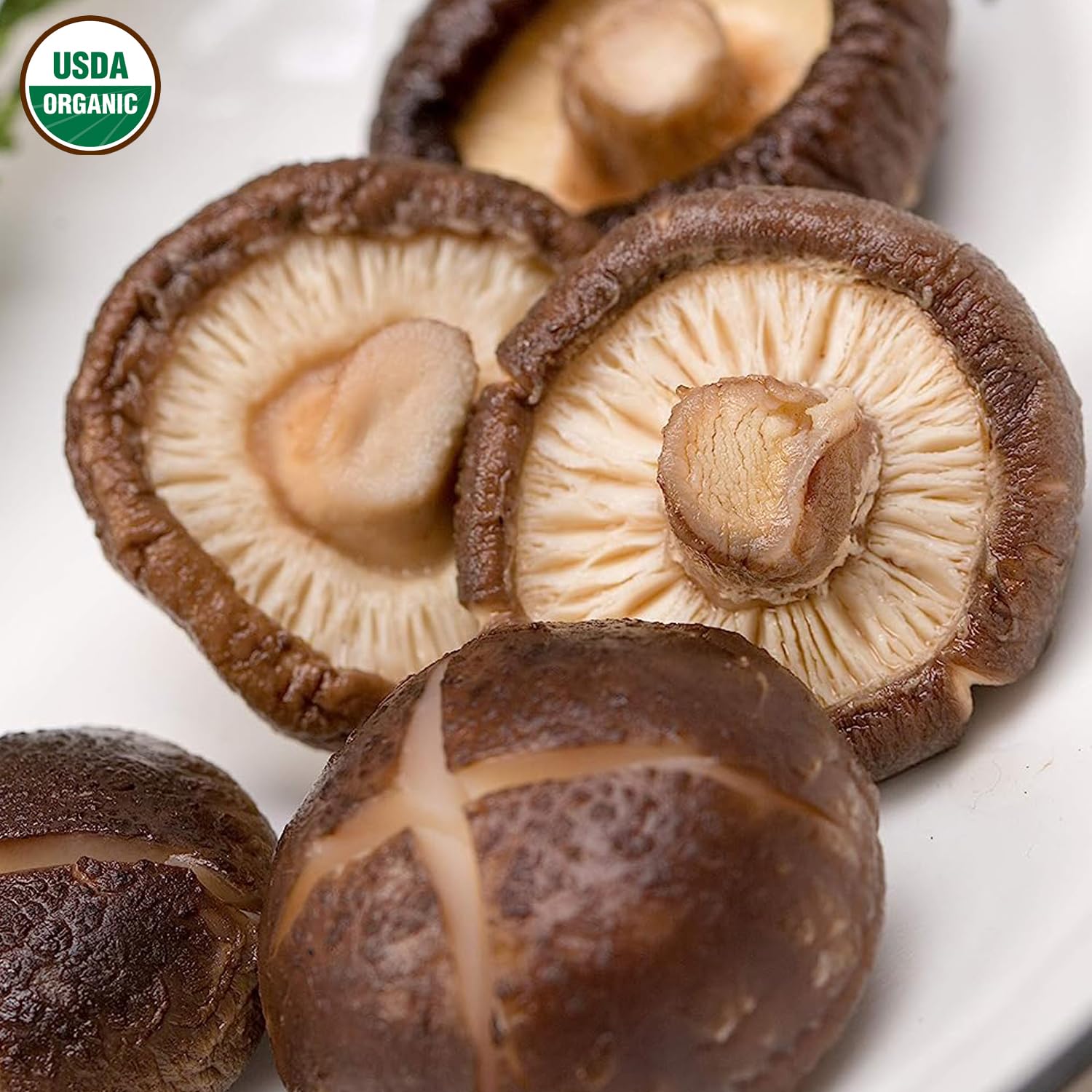 VIGOROUS MOUNTAINS shiitake mushrooms with pasta adding depth and texture