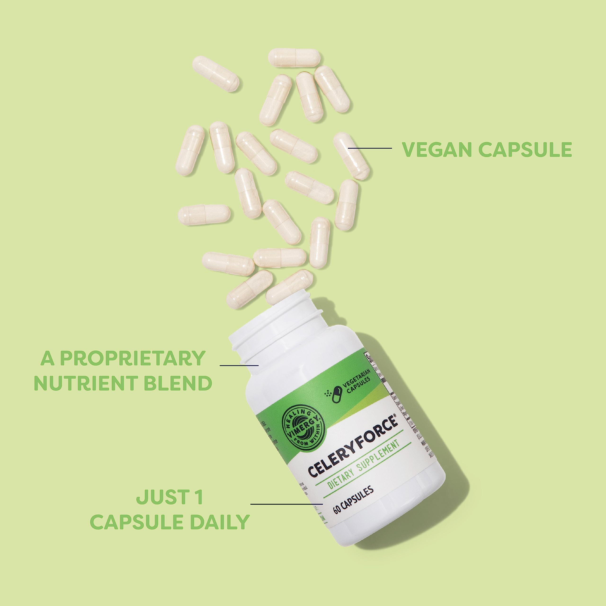 Vimergy Celeryforce ingredients blend visual emphasizing multi-nutrient formula