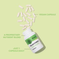 Vimergy Celeryforce ingredients blend visual emphasizing multi-nutrient formula