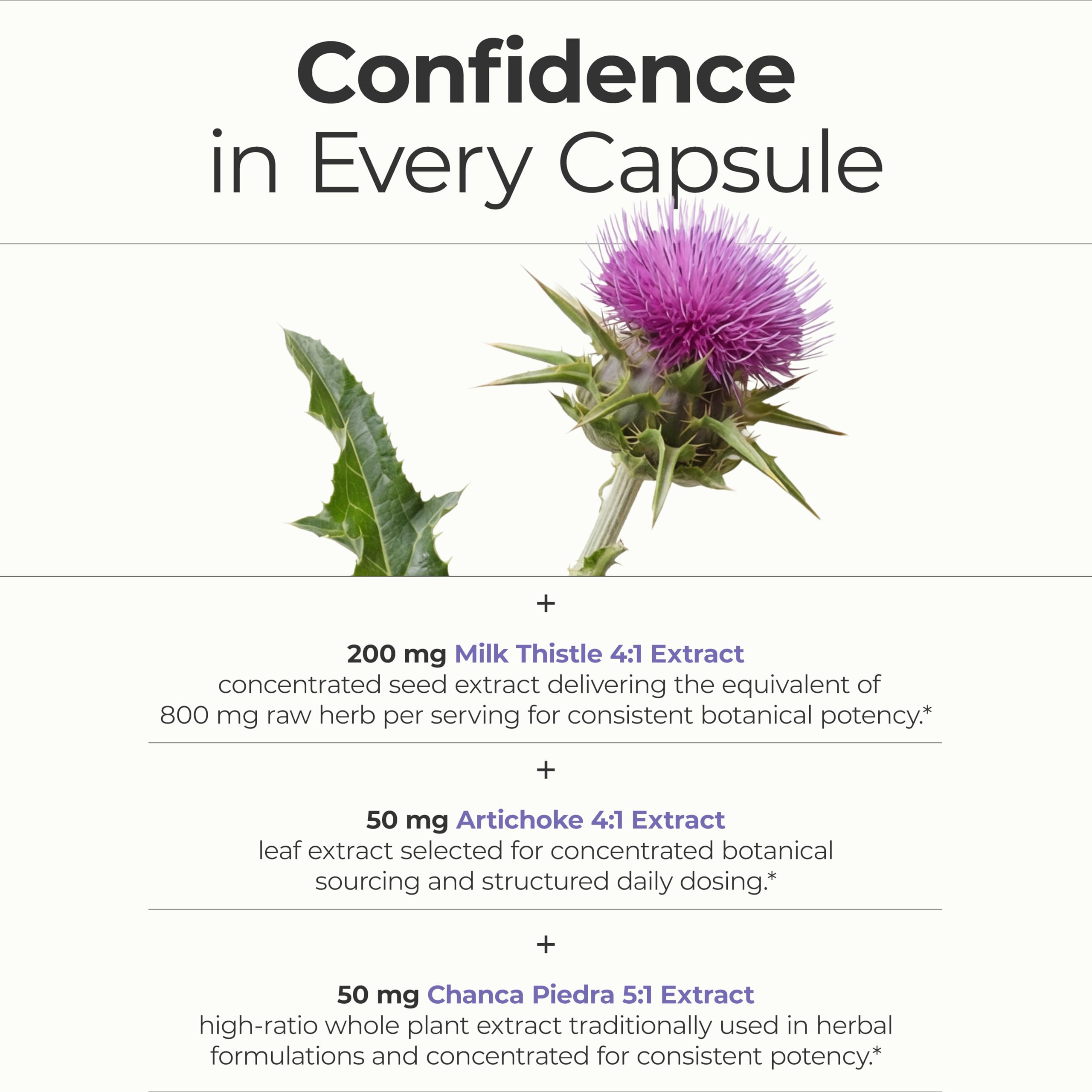 Vimerson Health Liver Cleanse dandelion root image signals gentle detox.