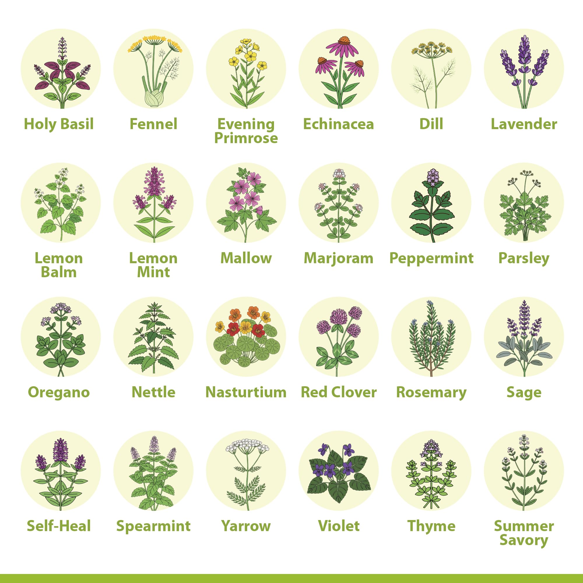 Close-up of seed packets from the Vimtoba kit highlighting heirloom varieties