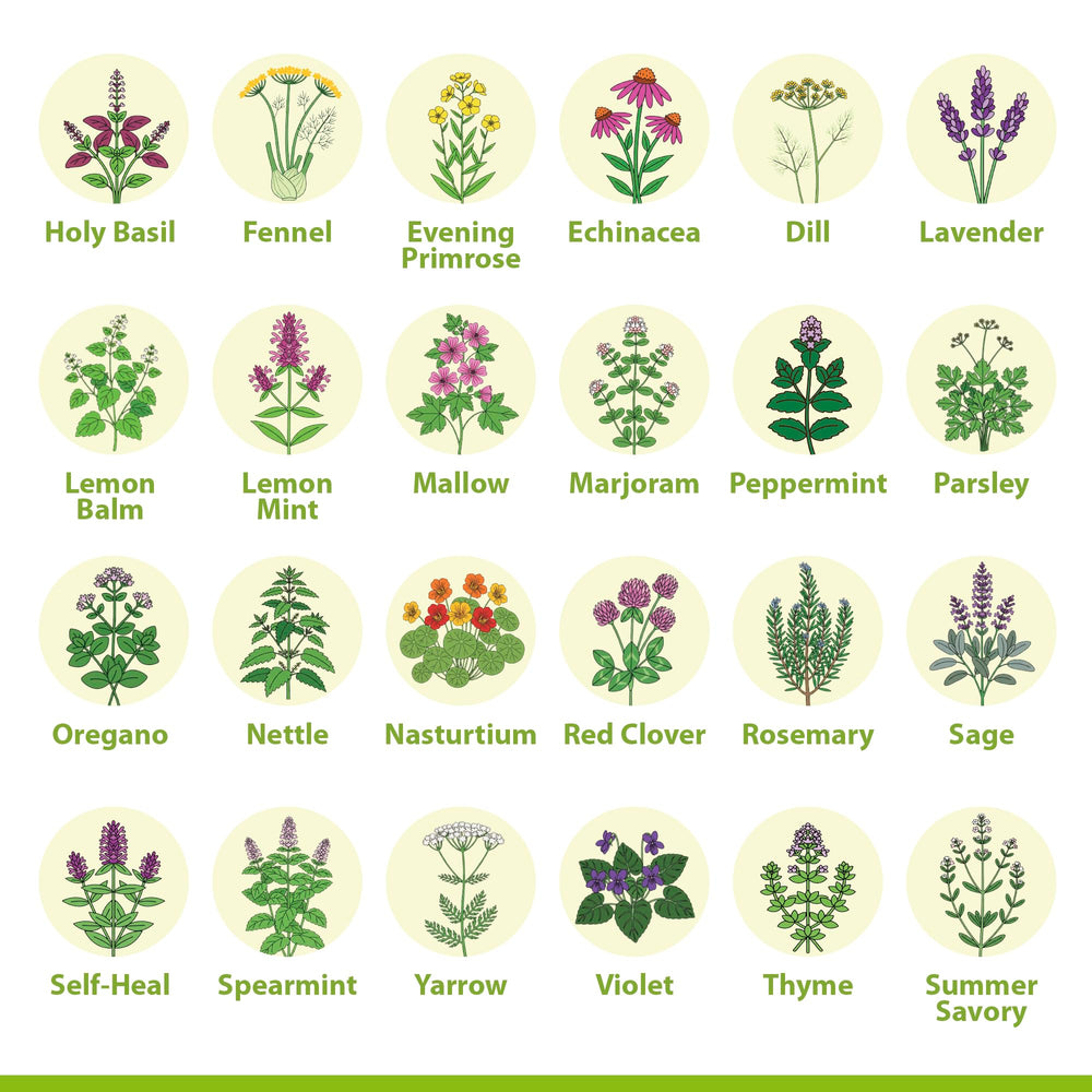 Close-up of seed packets from the Vimtoba kit highlighting heirloom varieties