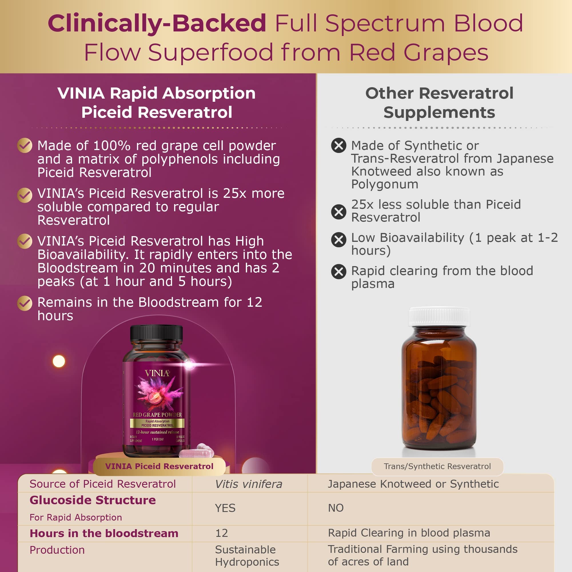VINIA heart health illustration indicating vascular support potential.