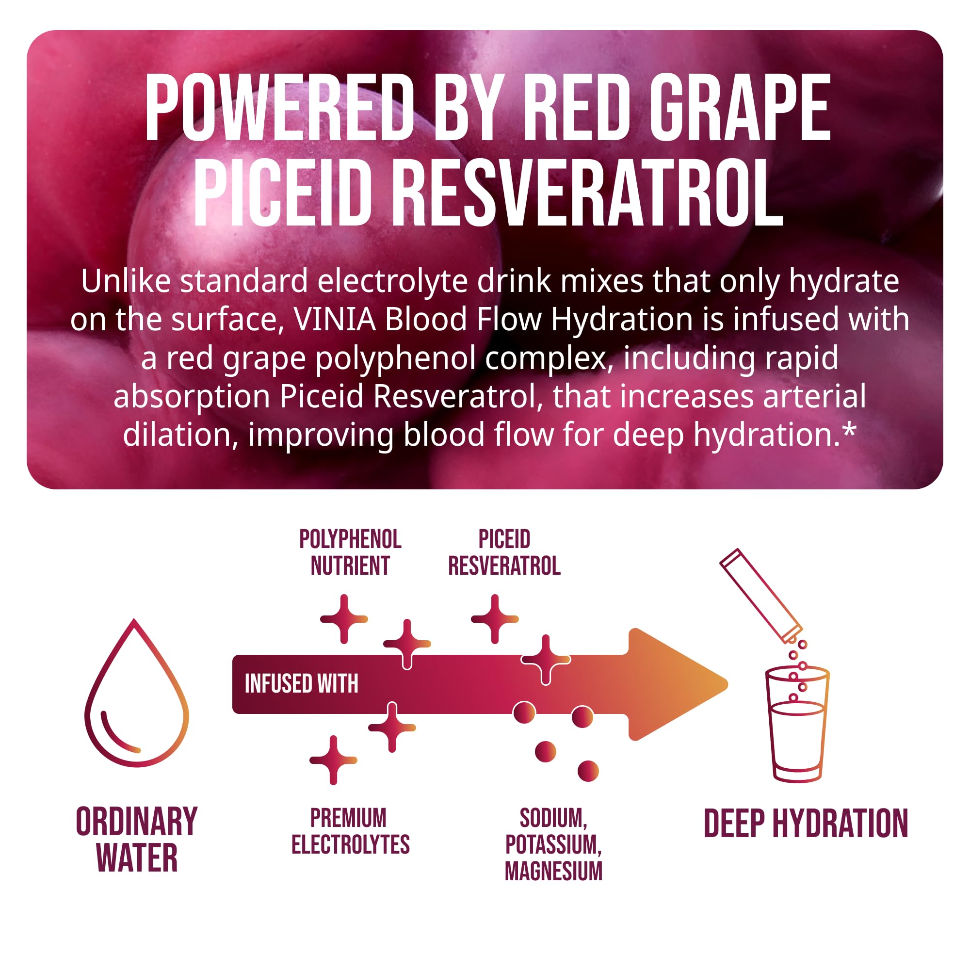 VINIA red grape powder focus underscores polyphenols that may aid blood flow
