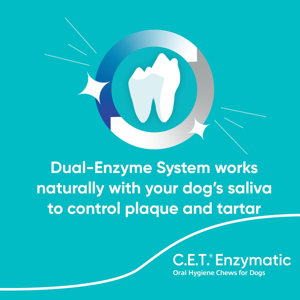 A dog chews Virbac C.E.T. Enzymatic Chews for ongoing dental care in action.