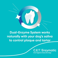A dog chews Virbac C.E.T. Enzymatic Chews for ongoing dental care in action.