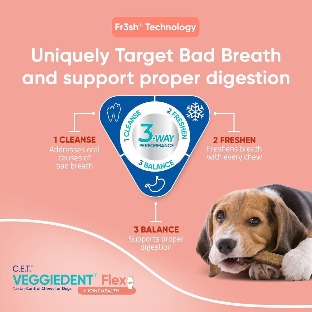 Eggshell membrane ingredient visual in VeggieDent Flex supporting joints.