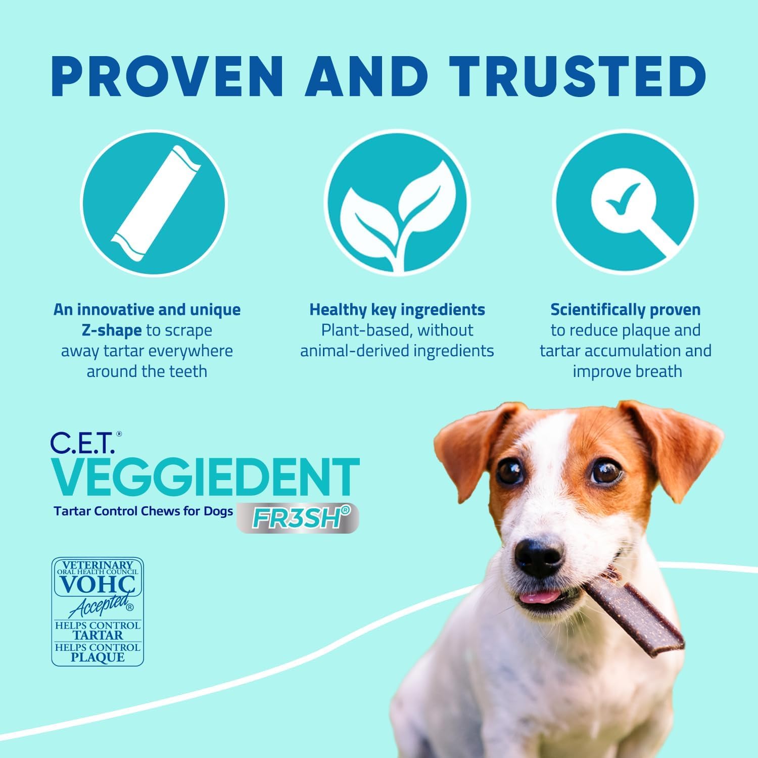 FR3SH dental chew improves breath freshness for dogs after meals.