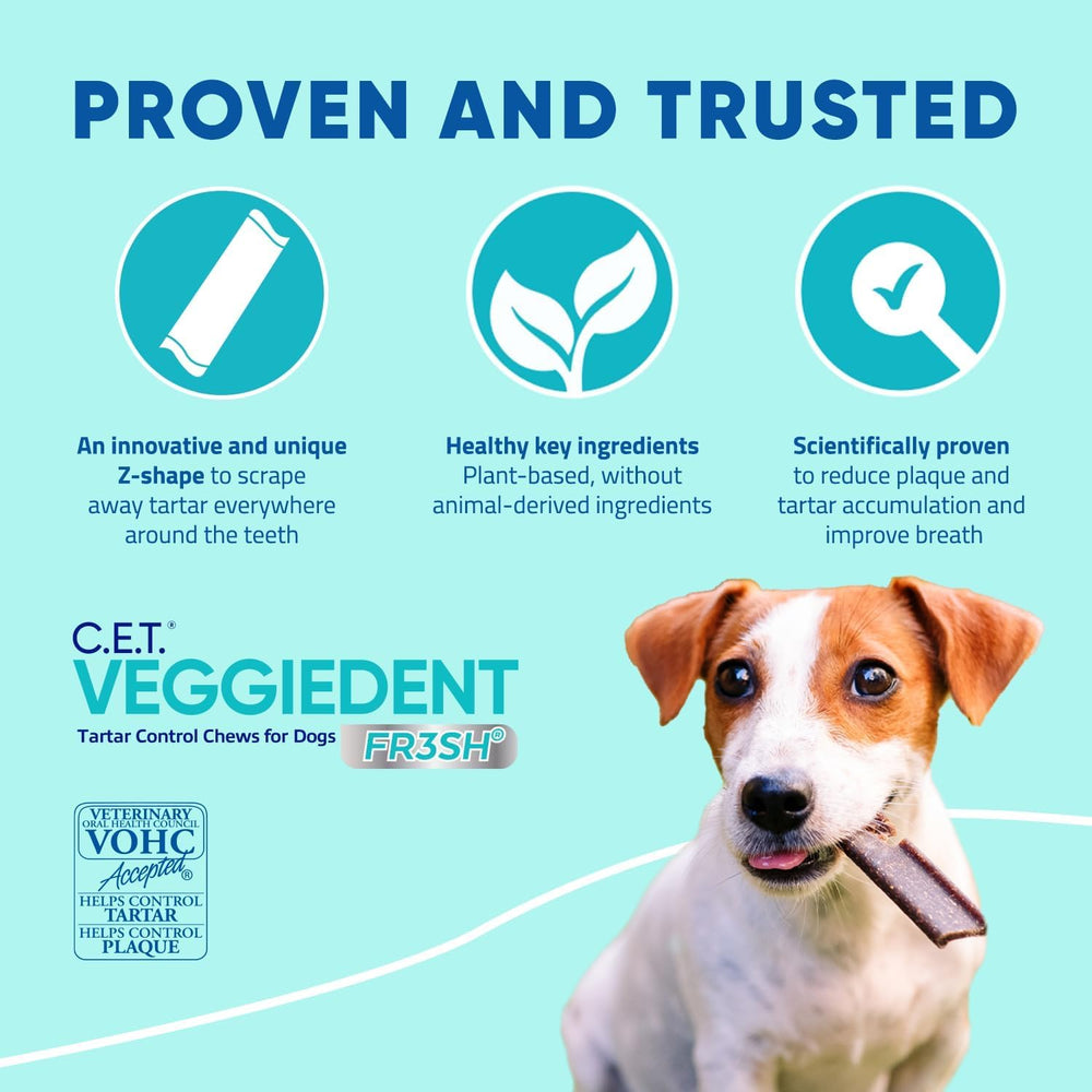FR3SH dental chew improves breath freshness for dogs after meals.