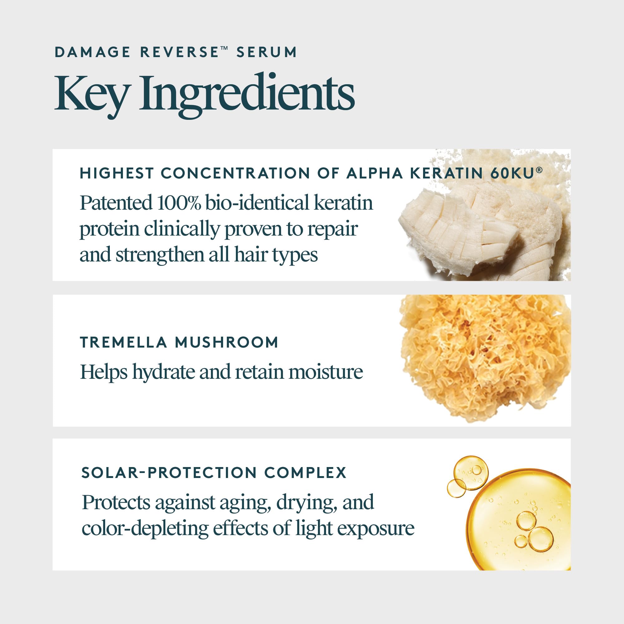 Damp hair being treated with VIRTUE serum showing quick absorption