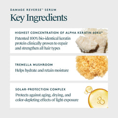 Damp hair being treated with VIRTUE serum showing quick absorption