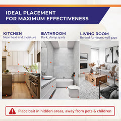 Visismile roach control solution depicted for long-lasting protection in homes
