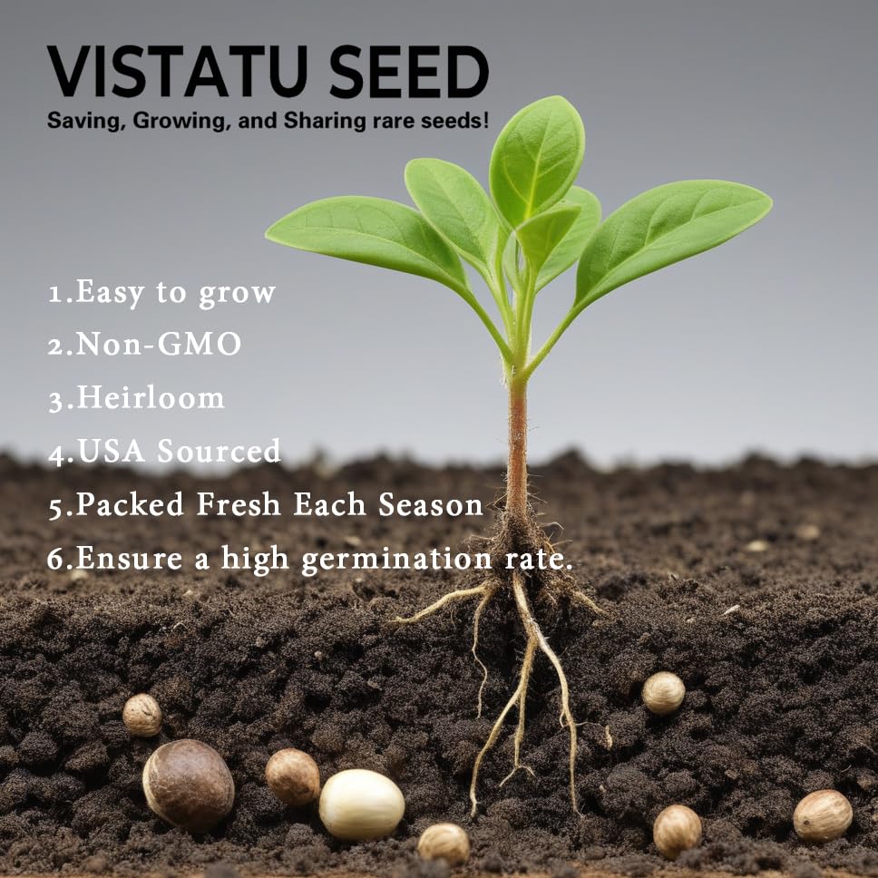 VISTATU Portulaca Grandiflora germination within 10-14 days for quick color