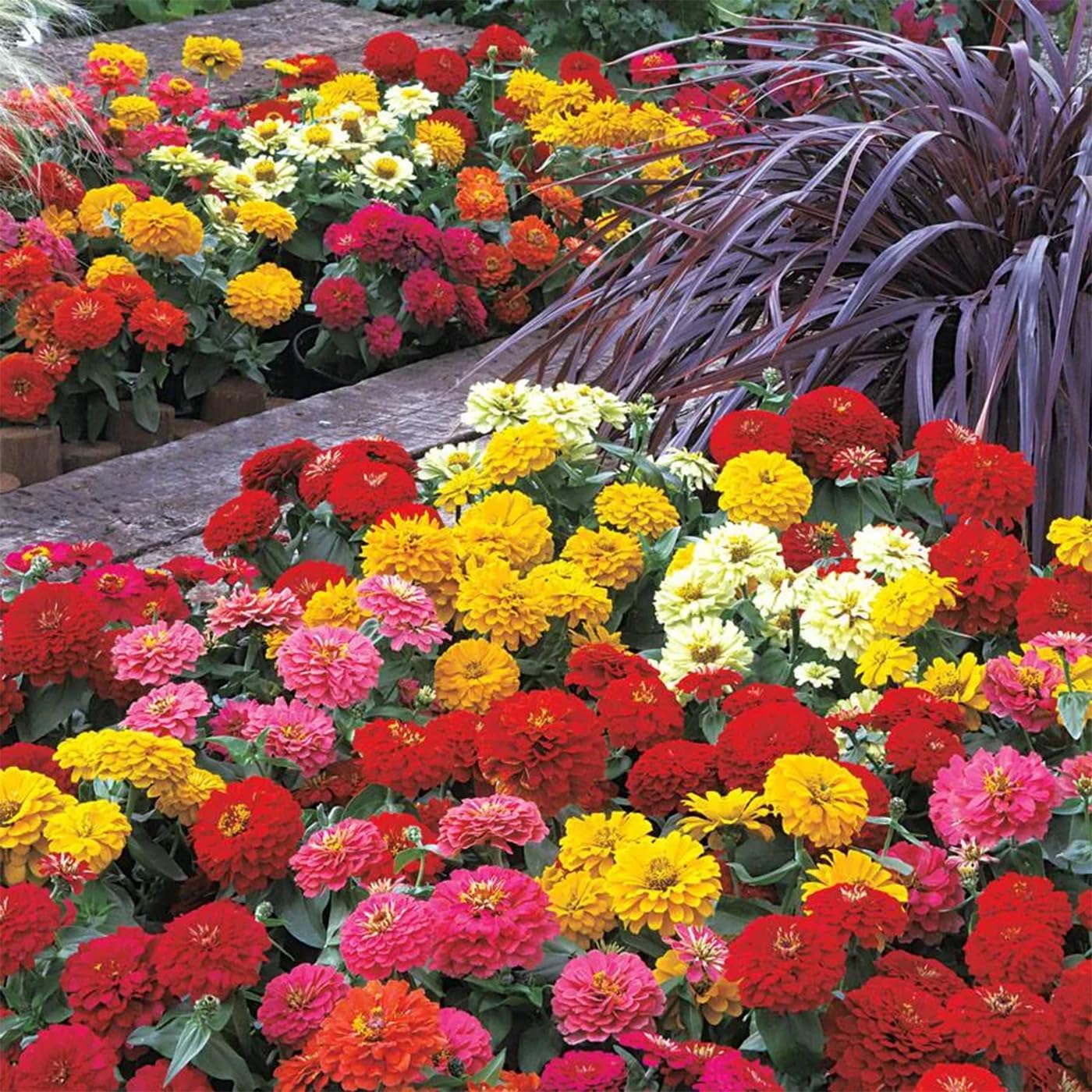 VISTATU planting depth guidelines call for about 1/8 inch