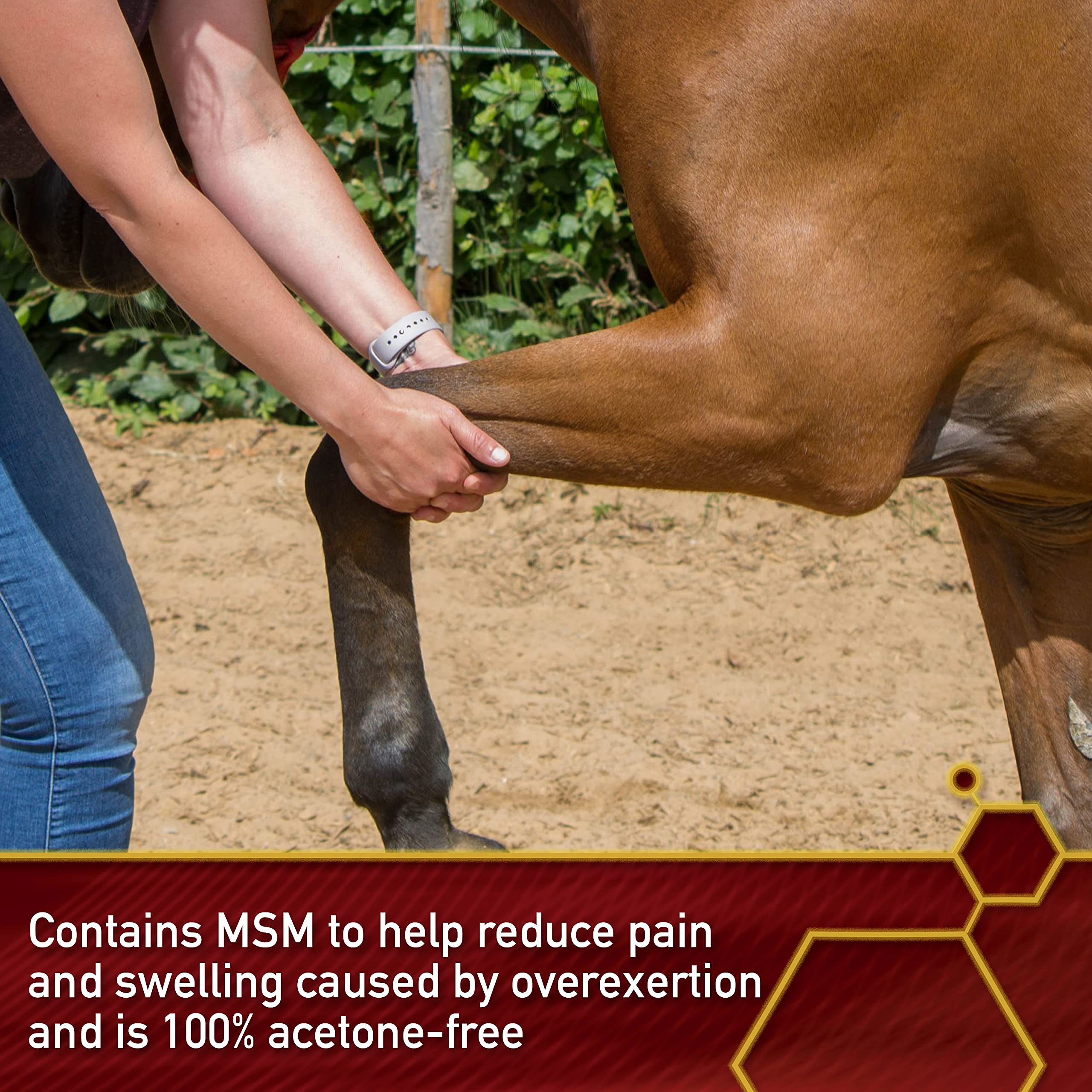 Vita Flex Thermaflex application on horse leg demonstrates convenient post-work care.