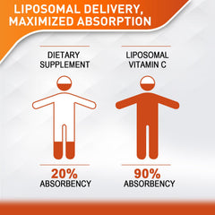 Vitablosom liposomal vitamin C 2000mg dropper contents view emphasizes dosage and bioavailability.