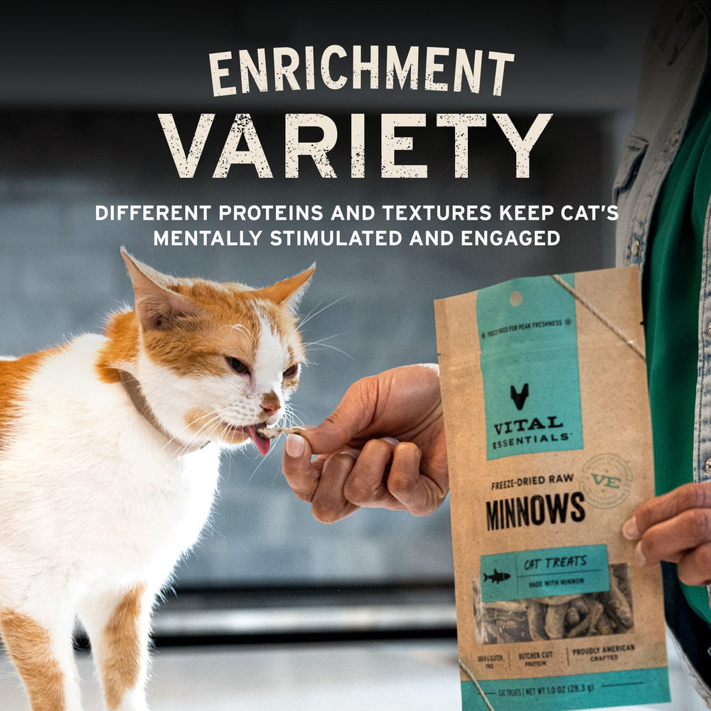 Vital Essentials treat bag open ready to pour as a premium snack.