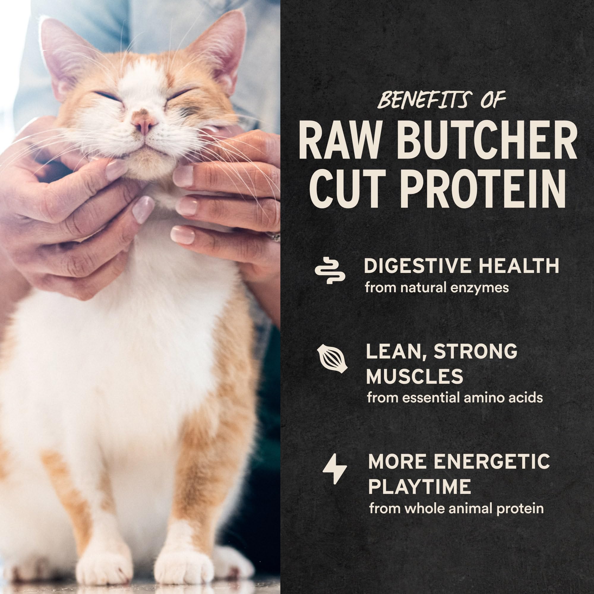 Vital Essentials freeze-dried chicken cat treats texture closeup shows crisp bite for rewards.