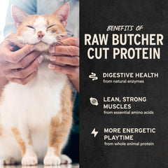 Vital Essentials freeze-dried chicken cat treats texture closeup shows crisp bite for rewards.
