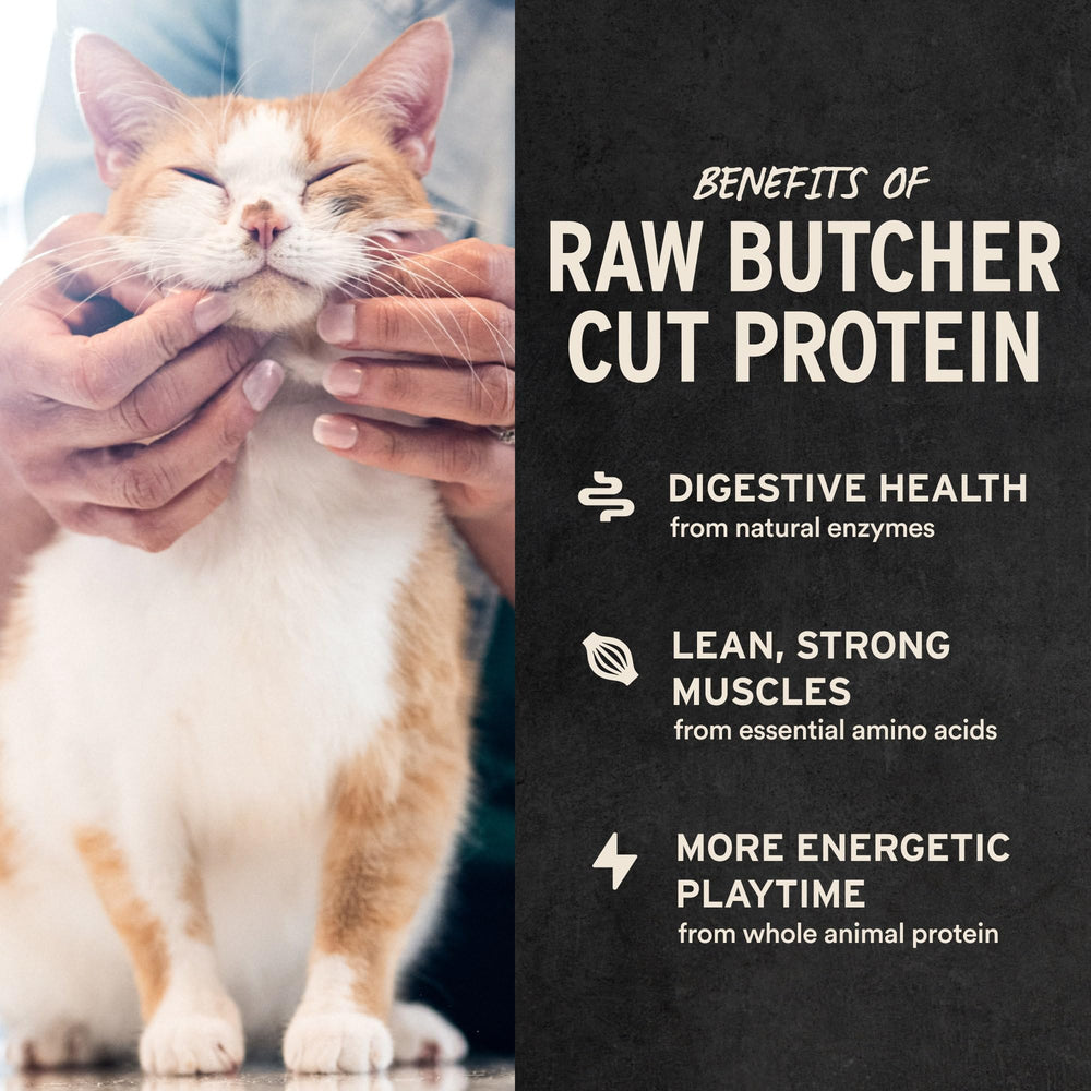 Vital Essentials raw rabbit protein bites close-up, premium ingredients for lean muscles.