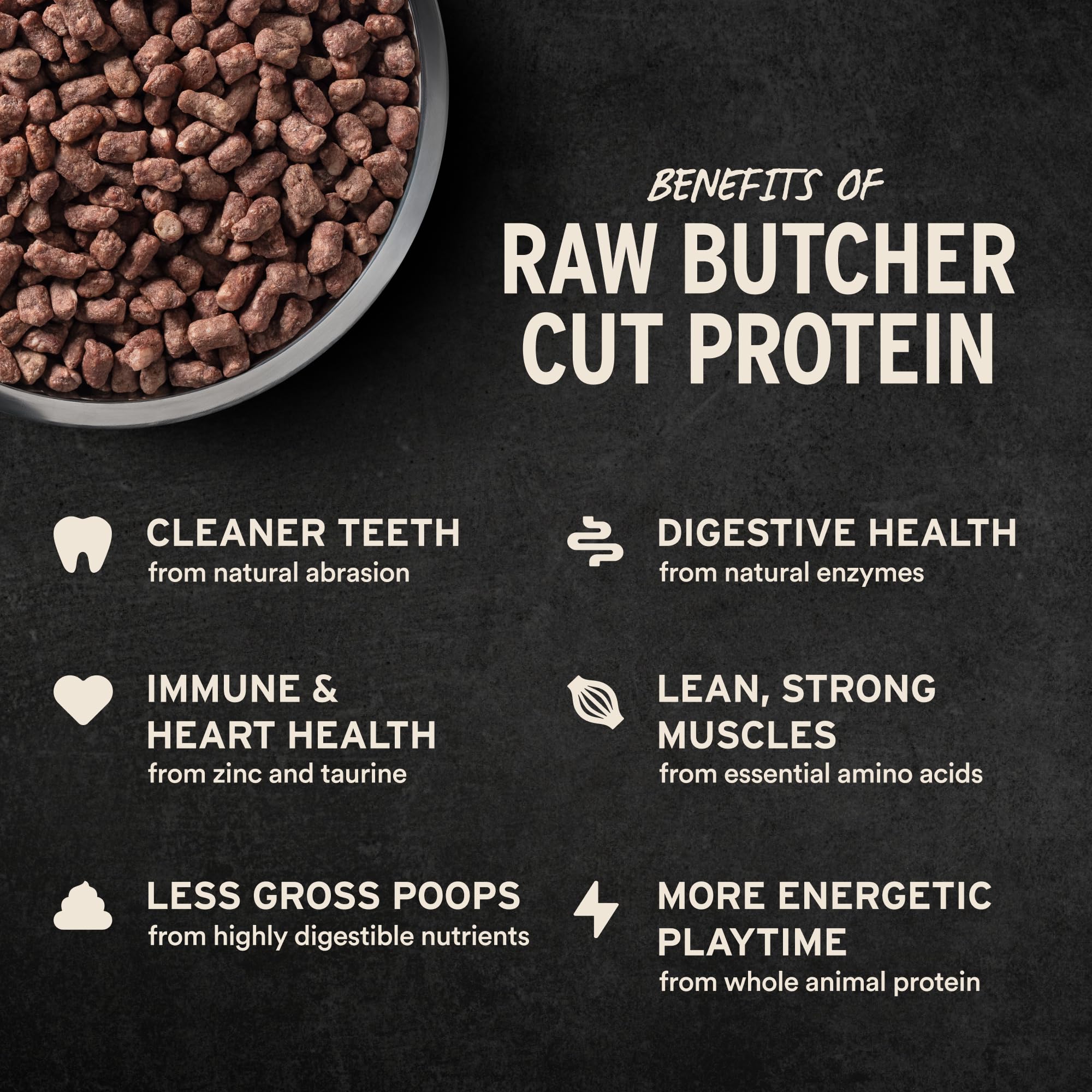 Vital Essentials whole-animal protein nibs representing lean protein source.