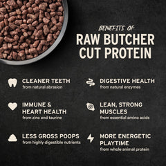 Vital Essentials whole-animal protein nibs representing lean protein source.