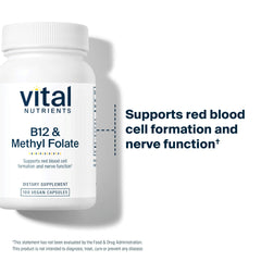 Vital Nutrients capsules close-up show small easy-to-swallow tablets for GI comfort.