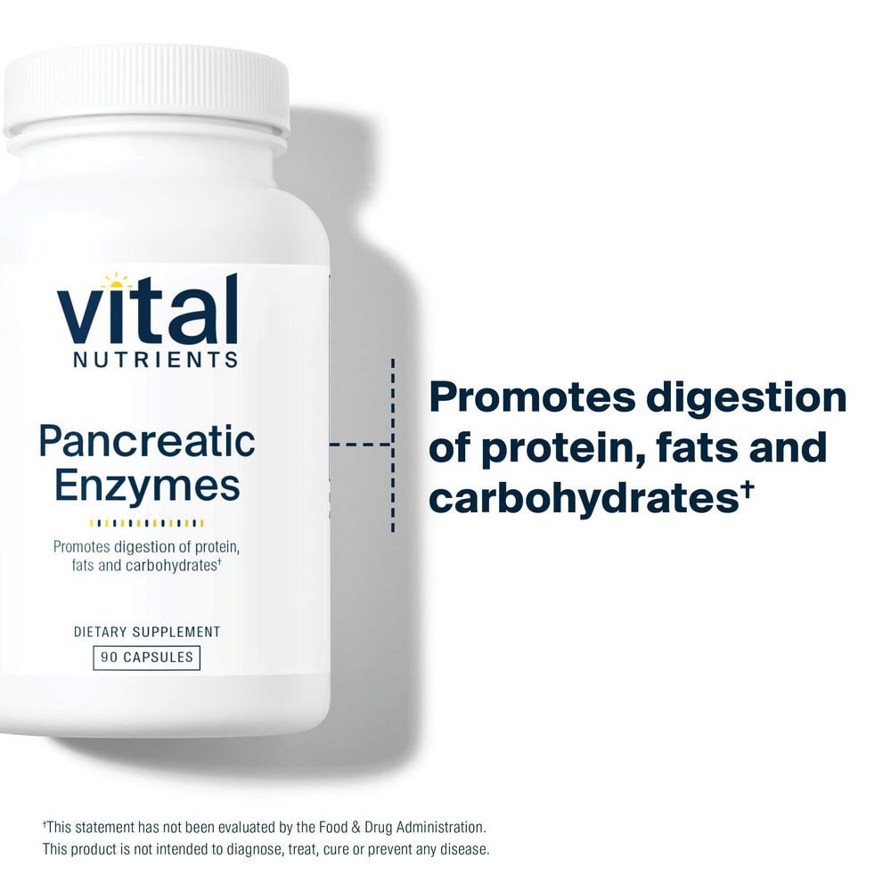 Digestive process illustration with Vital Nutrients Pancreatic Enzymes aiding fats and proteins