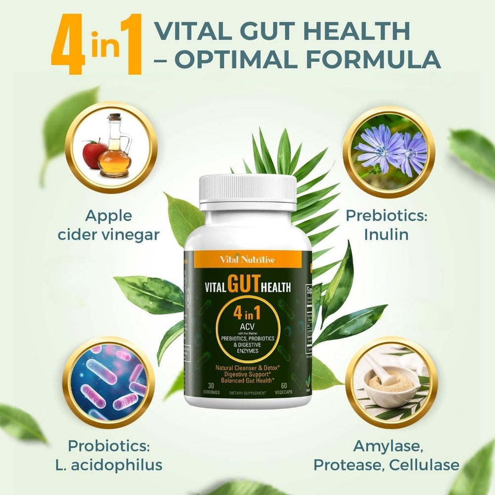 Vital Nutritive Vital Gut Health bottle back label highlighting clean ingredients