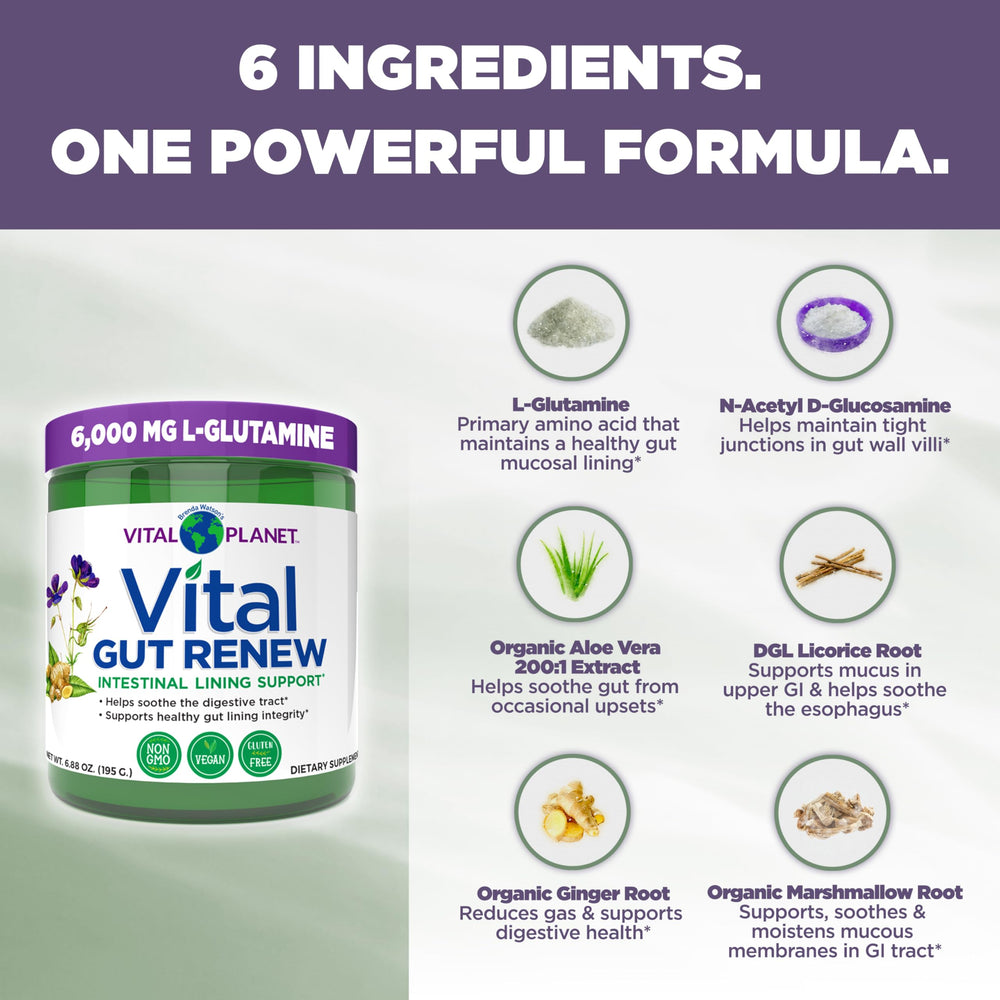 Vital Gut Renew powder texture close-up showing easy morning mix with water