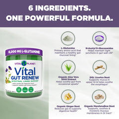 Vital Gut Renew powder texture close-up showing easy morning mix with water