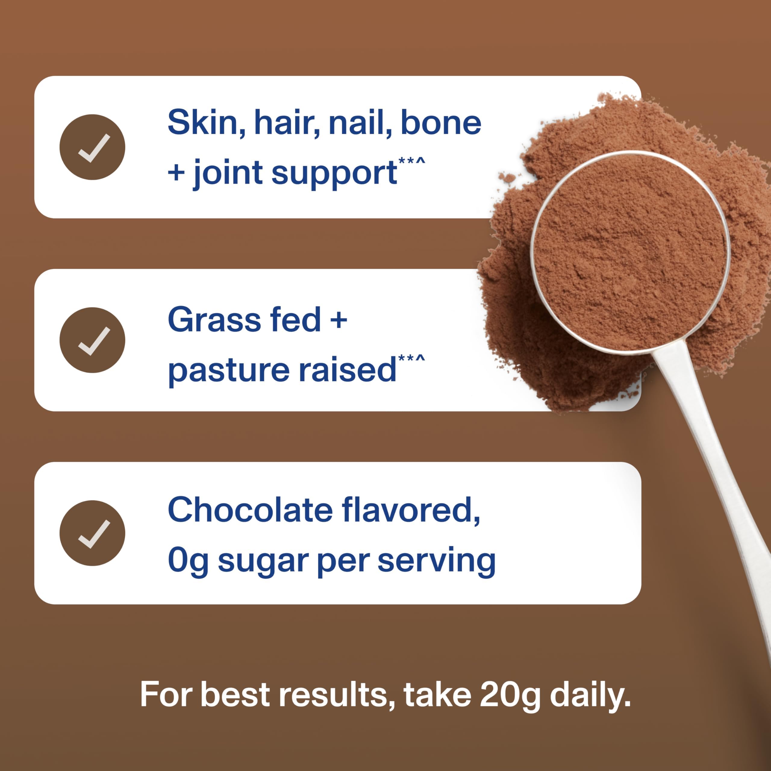 Vital Proteins Collagen Peptides Chocolate nutrition label visible for informed choice