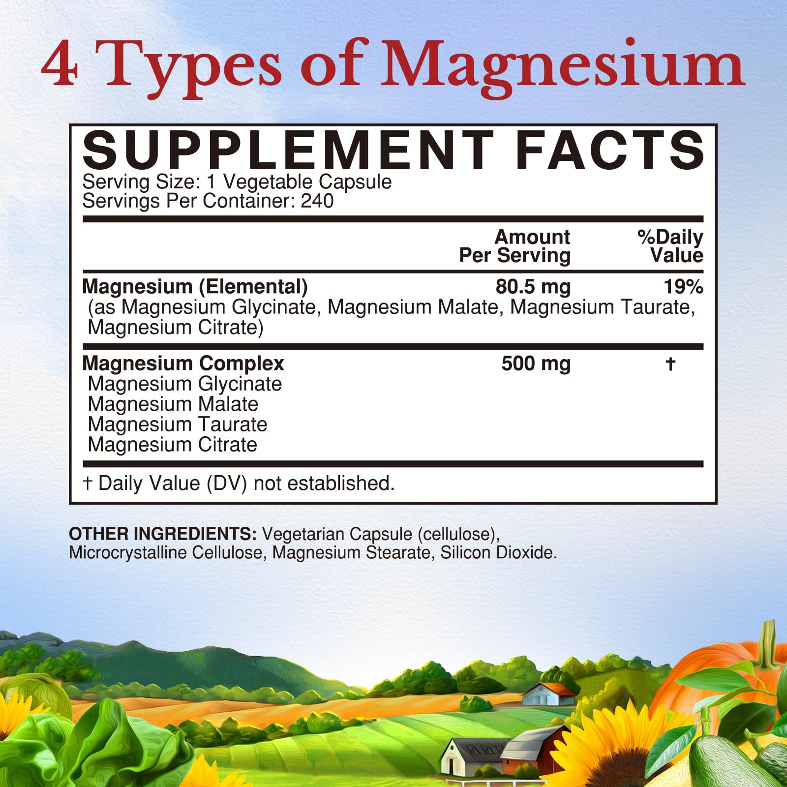 Vitalitown Magnesium Complex bottle with 240 capsules clearly labeled for daily use