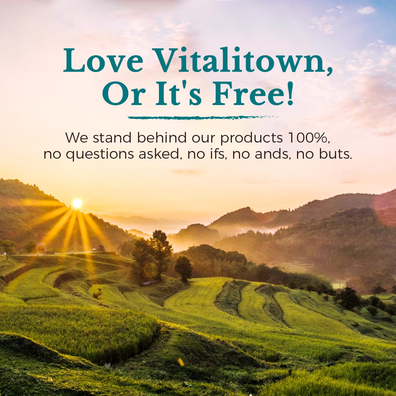 Vitalitown Probiotics immune support with gut-immune balance
