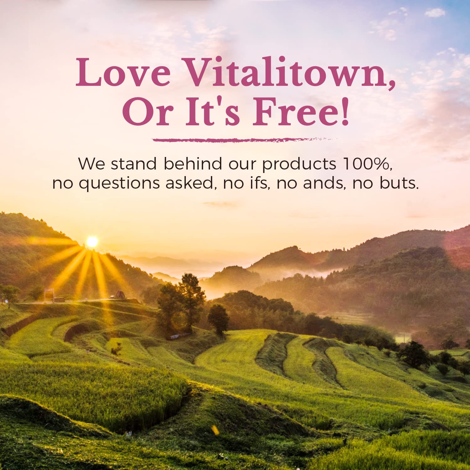 Vitalitown Probiotics bottle for daily use with compact packaging.
