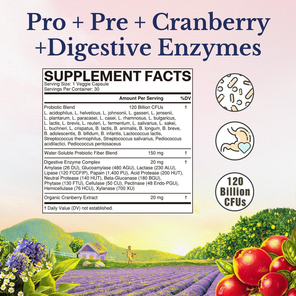 Vitalitown Women's Probiotics bottle back listing ingredients and vegan certification.