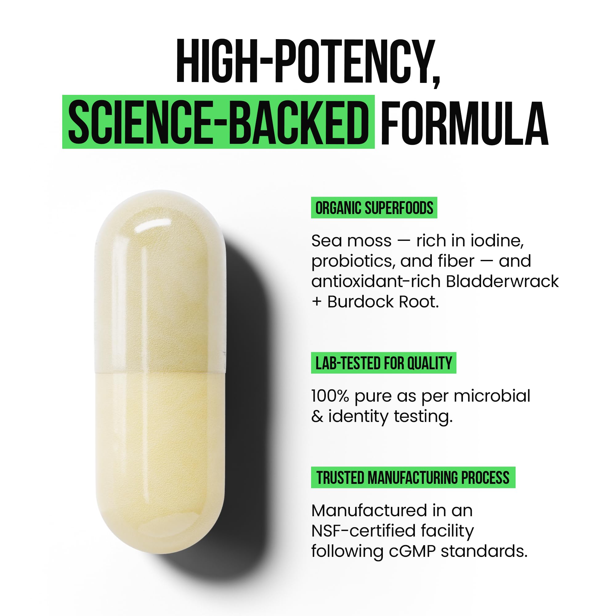 VitaRaw sea moss powder capsules close-up emphasizing flavor-free capsules.