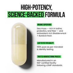 VitaRaw sea moss powder capsules close-up emphasizing flavor-free capsules.