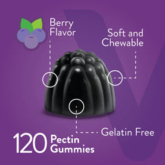 Viteey Sambucus Gummies pack illustrates on the go packaging