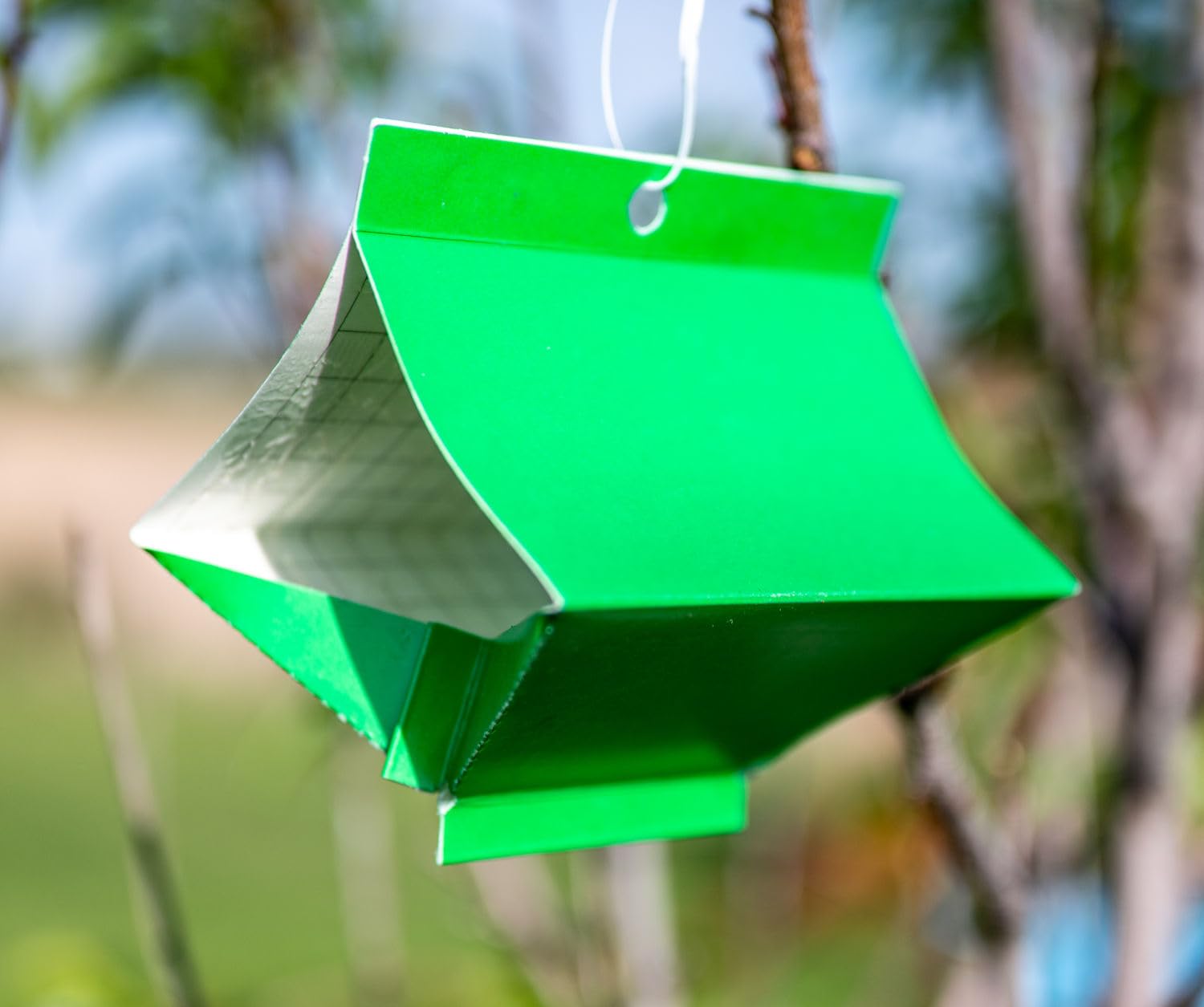 VivaGrow VivaTrap VT-106 lure supports integrated pest management for oriental moths.