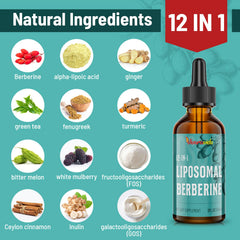 Vivaravida Liposomal Berberine Liquid demonstrates fast-absorption delivery