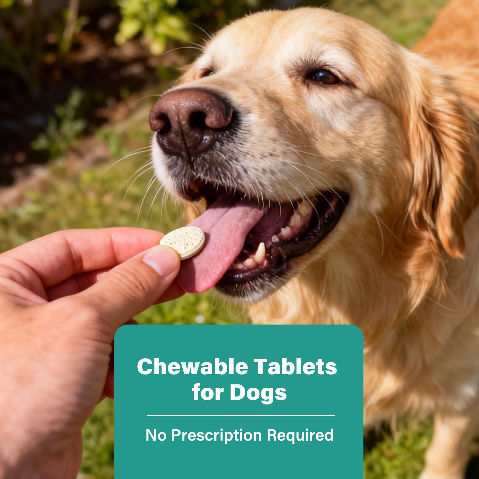 VivaElixir label shows praziquantel and pyrantel pamoate for broad coverage.