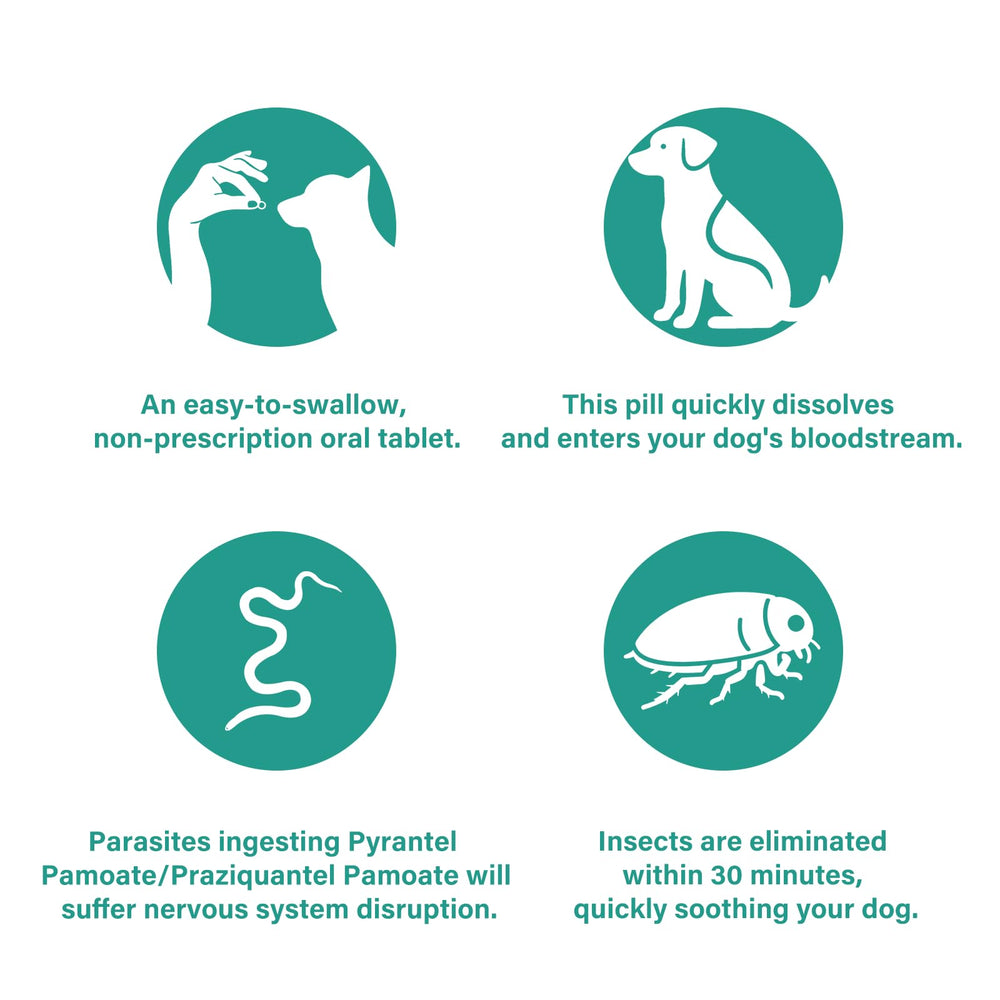 Packaging shows veterinarian endorsement and GMP-style safety standards.
