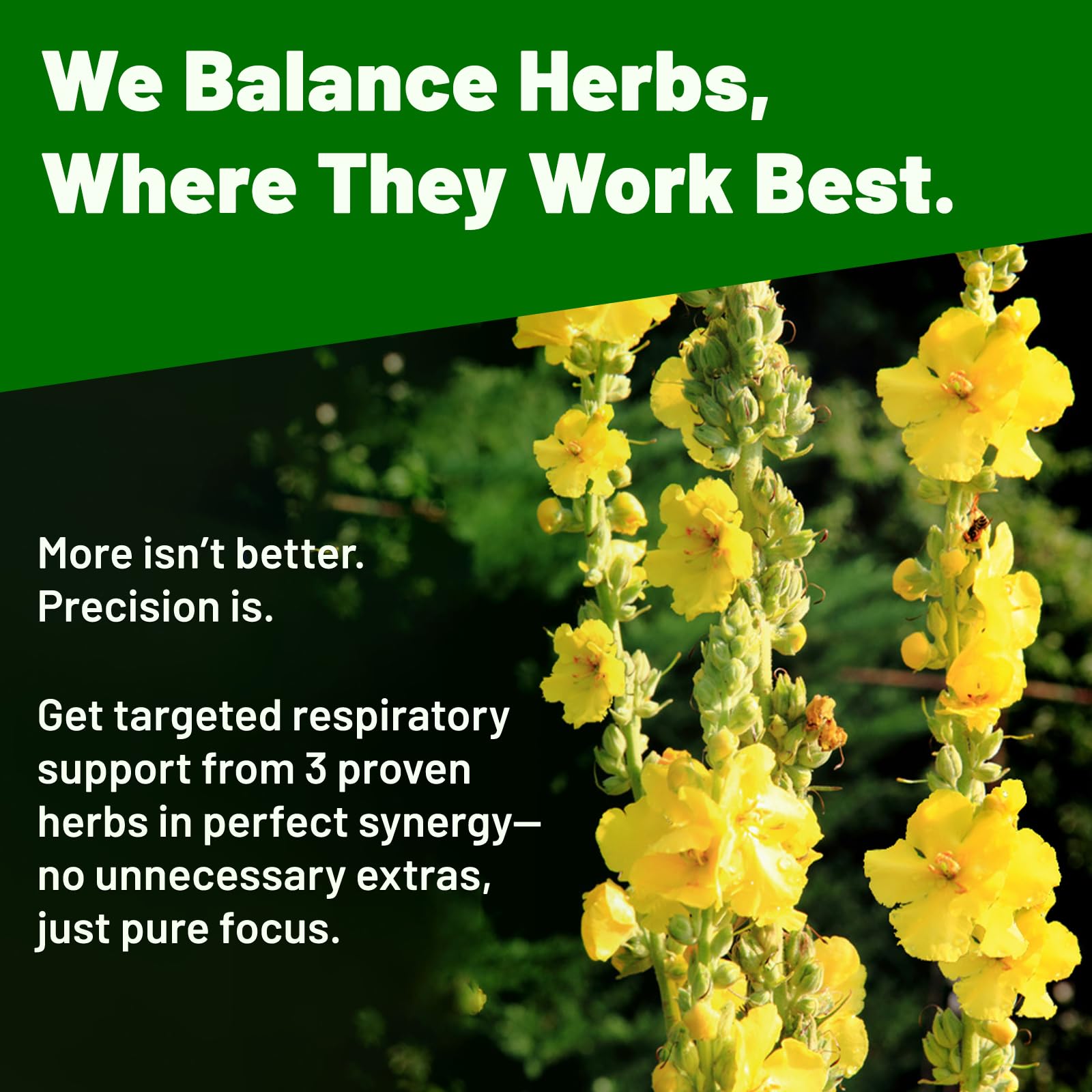 Vivcmin Mullein Drops dropper delivers precise 1 ml doses for consistent use