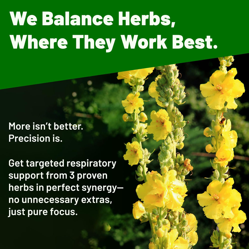 Vivcmin Mullein Drops dropper delivers precise 1 ml doses for consistent use