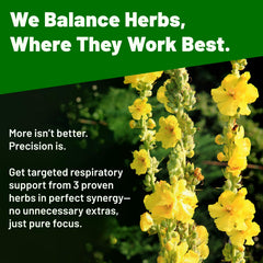 Vivcmin Mullein Drops dropper delivers precise 1 ml doses for consistent use