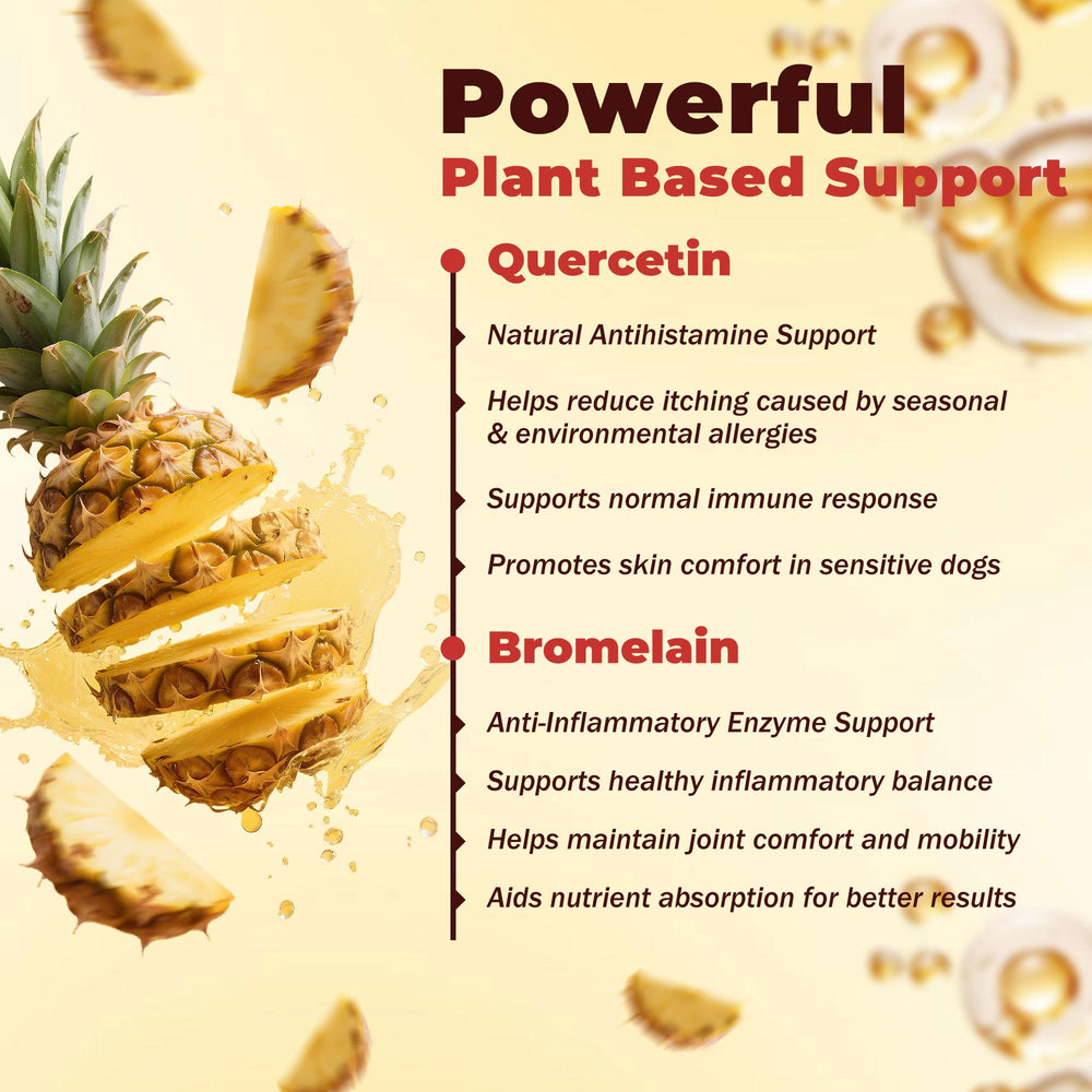 VivaElixir bottle being poured to illustrate easy administration for dogs.